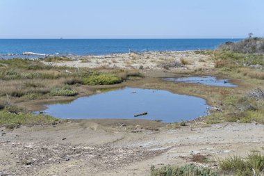 Akdeniz kıyısındaki bataklıklarda küçük gölcükler bulunan manzara, İtalya 'nın Tuscany, Marina di Alberese kentinde parlak bir sonbahar ışığı altında çekildi.