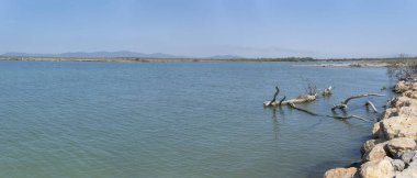 Akdeniz 'in ağzında Ombrone nehrinin kıyıları olan manzara, Marina di Alberese, Toskana, İtalya' da sonbaharın parlak erken saatlerinde çekildi.