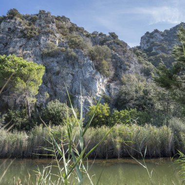 Dik kayalık tepe ve kıyıdaki bataklıkta bulunan kanal kıyısı, Marina di Alberese, Toskana, İtalya yakınlarındaki parlak sonbahar ışığı altında çekildi.