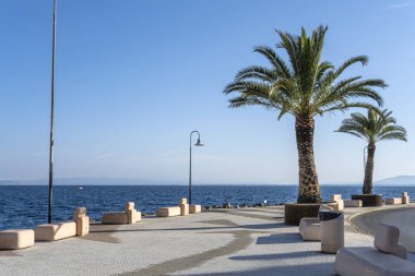 Akdeniz kıyısındaki Argentario 'nun turistik köyündeki sahil güvertesinde palmiye ağaçları olan şehir, Porto Santo Stefano, Tuscany, İtalya' da sonbaharın parlak erken saatlerinde çekildi.