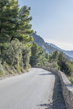 Akdeniz kıyısında deniz çamlarıyla kaplı dik yamaçtaki dağ yolu manzarası, Monte Argentario, Toskana, İtalya 'da sonbaharın parlak erken saatlerinde çekildi.