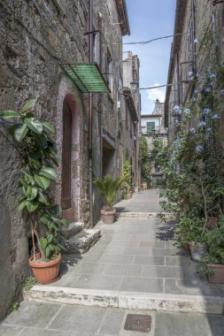 İtalya 'nın Tuscany, Pitigliano şehrinde parlak bir sonbahar ışığı altında çekilen, dağlık tarihi köyün dar şeridinde yemyeşil bitki örtüsü olan şehir manzarası.