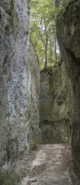  İtalya, Tuscany, Pitigliano 'da parlak bir sonbahar sabahı çekilen Vie Cave tarihi patikasında ormanın altında kayalıklar arasında yol kazıldı.