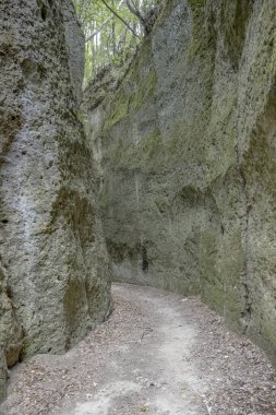 İtalya, Tuscany, Pitigliano 'da parlak bir sonbahar sabahı çekilen Vie Cave tarihi patikasında, ormanın altındaki kaya kayalıkları arasında yol kıvrıldı.