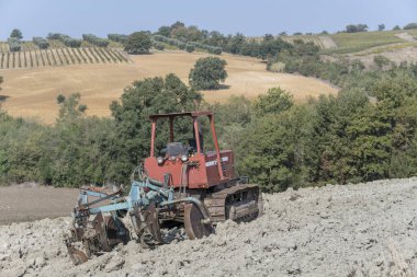 Scansano, Tuscany, İtalya yakınlarında parlak bir sonbahar ışığı altında çekilen, yeşil tepecikli kırsal alanda pullu sabana sahip eski traktör.