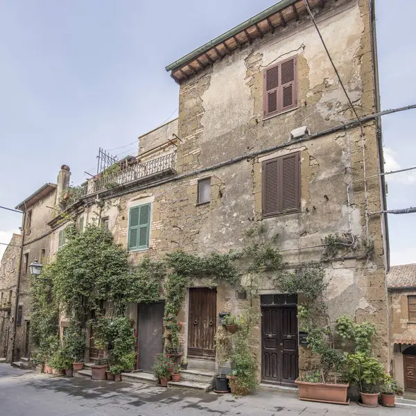 Pitigliano, Tuscany, İtalya 'da güz ışığı altında çekilen, dağlık tarihi köydeki eski evde yemyeşil bitki örtüsü olan şehir manzarası.