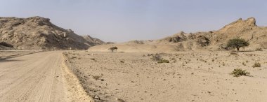 Ay Vadisi Çölü 'nde çakıl yolu ve seyrek bitki örtüsü olan manzara, Swakopmund, Namibya, Afrika yakınlarındaki parlak bahar ışığı altında çekildi.