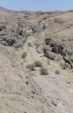 Naukluft Çölü 'ndeki kayalık kıyıların arasında, kuru dere yatağındaki ağaçlarla kaplı manzara, Gaub Geçidi, Namibya, Afrika yakınlarındaki parlak bahar ışığı altında çekildi.