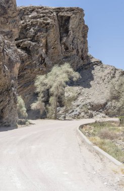 Naukluft Çölü 'ndeki kıvrımlı çakıl yolu yakınlarındaki dik kayalıkların altındaki ağaçlı manzara, Gaub Geçidi, Namibya, Afrika' daki parlak bahar ışığı altında çekildi.