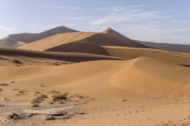 Sossusvlei, Namibya, Afrika yakınlarındaki Naukluft çölünde çekilen Deadlvei yolu üzerindeki turistlerin manzarası.
