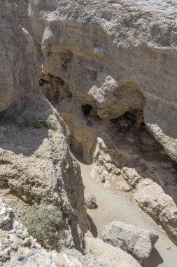 Serisem Kanyonu, Namibya, Afrika 'daki Naukluft Çölü' nde parlak bahar ışığı altında çekilmiş dar nehir yatağı manzarası.