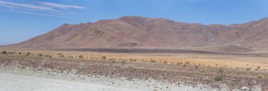 Betta, Namibya, Afrika 'nın batısındaki Naukluft Çölü' nde parlak bahar ışığı altında çekilmiş seyrek bitki örtüsü ve sıradağlık arazi.