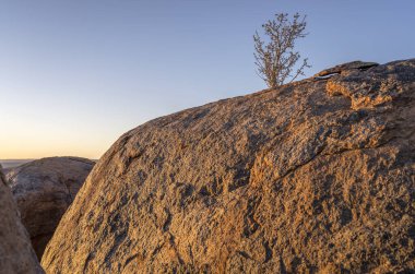 Büyük Dolerite kayası üzerinde gün batımı çöl çalısı ile birlikte, Hobas, Namibya, Afrika yakınlarındaki açık bahar günbatımında çekildi.