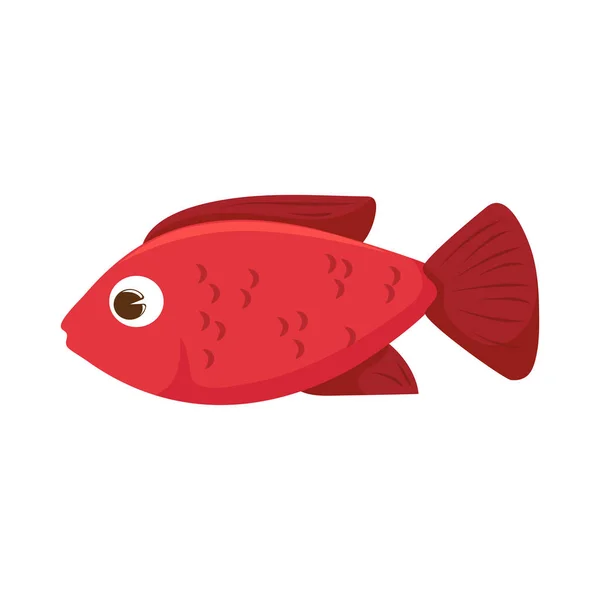 赤い魚のアイコンの孤立したデザイン — ストックベクタ