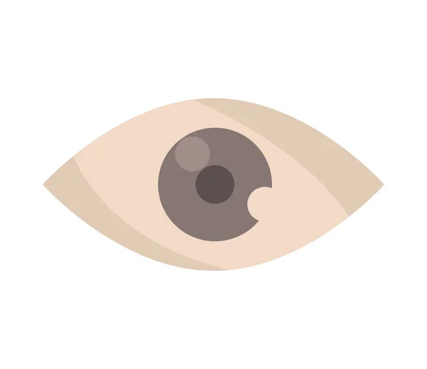 Значок Зору Очей Плоский Ізольований — стоковий вектор