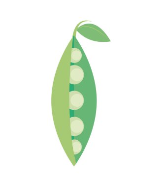 bezelye sebze ikonu izole edildi