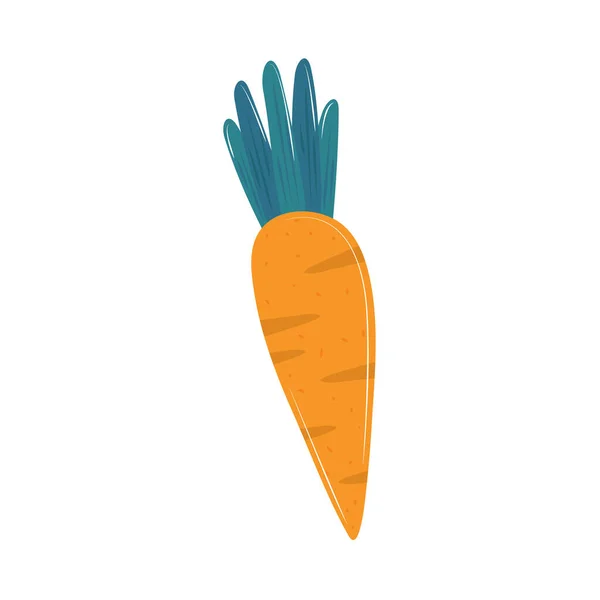 Zanahoria Alimento Vegetal Icono Aislado — Vector de stock