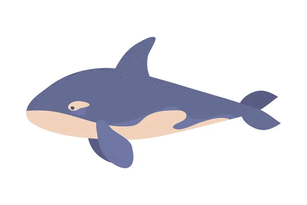 虎鲸孤立图标平坦 — 图库矢量图片
