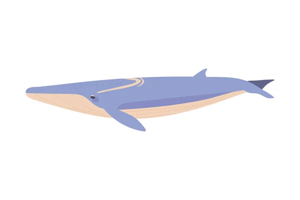 白背鲸图标 — 图库矢量图片