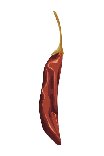Symbol Für Trockene Chilischote Isoliert — Stockvektor