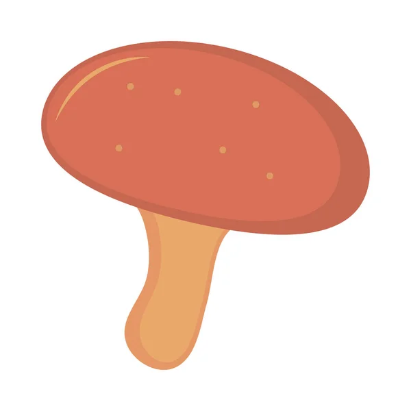 Mushroom Vegetable Food Icon Isolated — 스톡 벡터