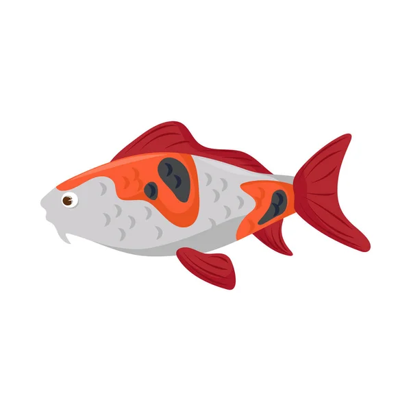Balık Koi Simgesi Izole Tasarımı — Stok Vektör