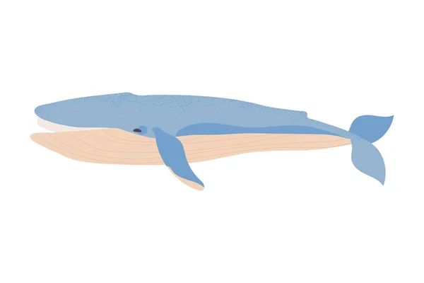 Icona Vettore Balena Sfondo Bianco — Vettoriale Stock