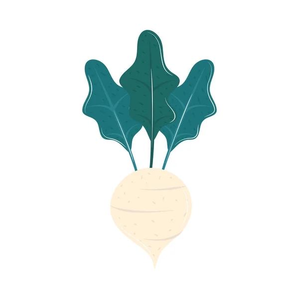 Oignon Légume Nourriture Icône Isolé — Image vectorielle