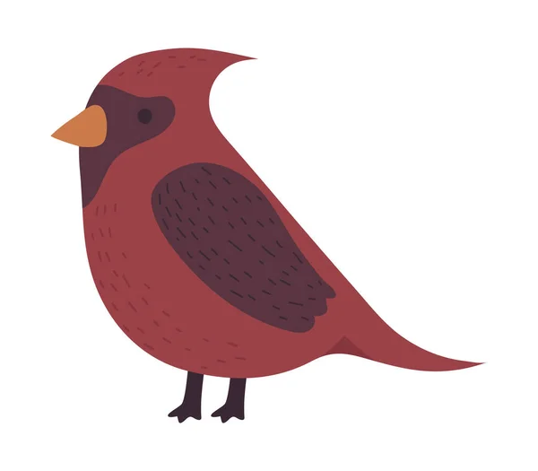 Kardinal Fågel Vinter Djur Ikon — Stock vektor