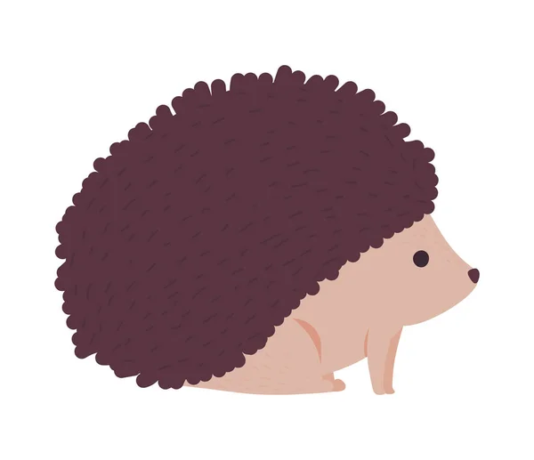 Hedgehog Inverno Ícone Animal Isolado — Vetor de Stock