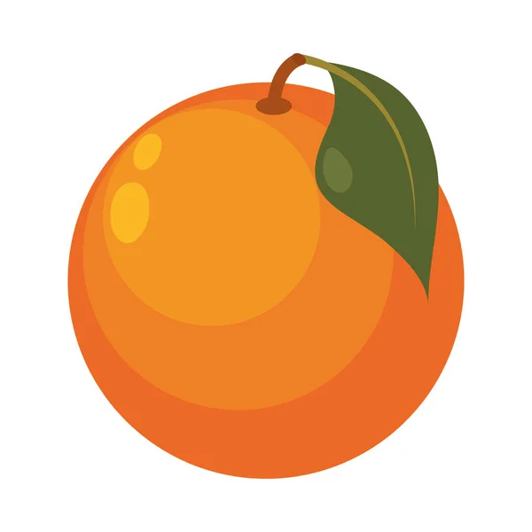 stock vector orange fruit food isometric icon