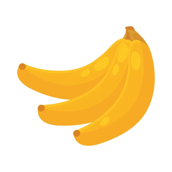 바나나 과일먹는 식물의 등거리 측정학적 아이콘 — 스톡 벡터