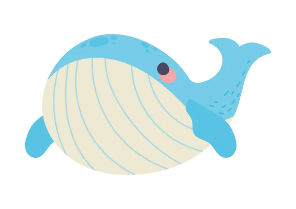 鲸鱼卡瓦伊动物图标隔离 — 图库矢量图片