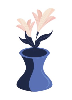 Vazodaki beyaz çiçekler izole edildi