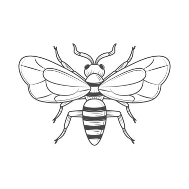 Eşek arısı böcek hayvan simgesi izole edildi