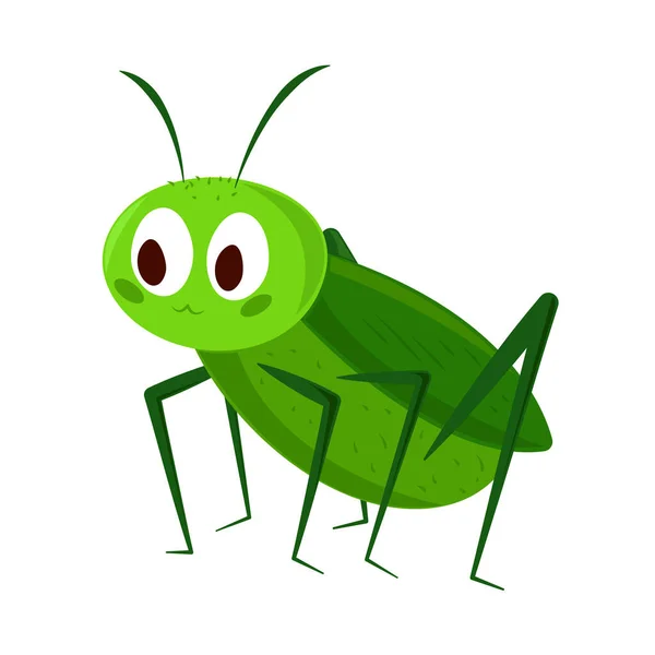 Icône Dessin Animé Insecte Cricket Isolé — Image vectorielle