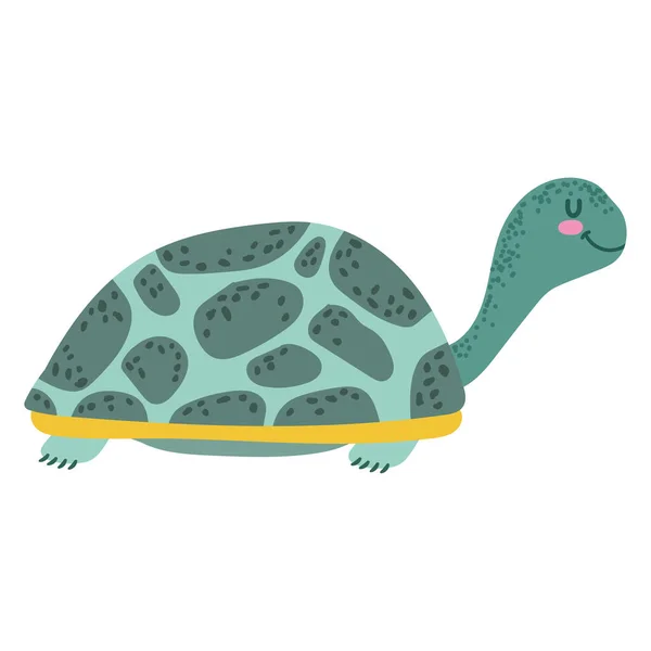 Sköldpadda Havsliv Ikon Isolerad — Stock vektor