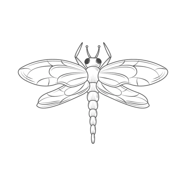 stock vector dragonfly insect animal icon isolated