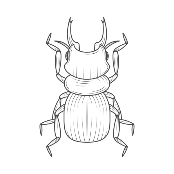 Frelon Insecte Animal Icône Isolé — Image vectorielle