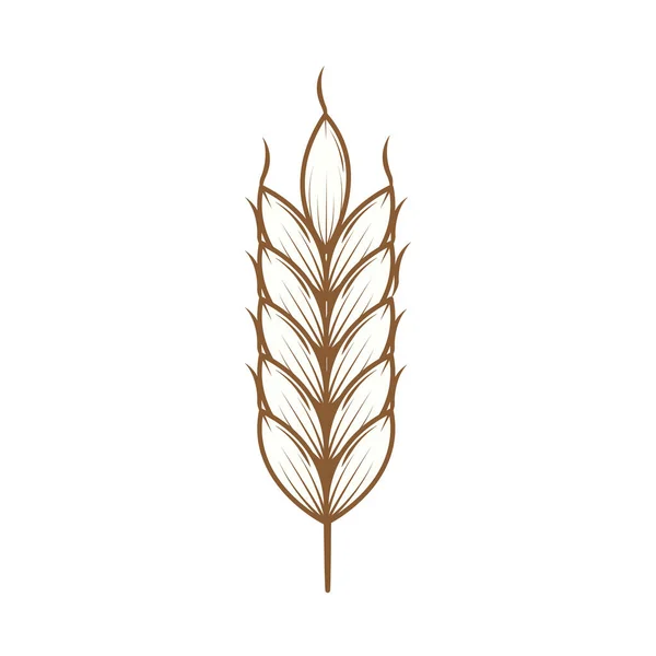 Buğday Başağı Simgesi Izole Edilmiş Düz — Stok Vektör