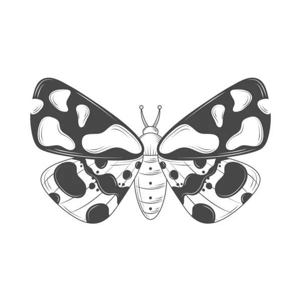 Mariposa Insecto Animal Icono Aislado — Vector de stock