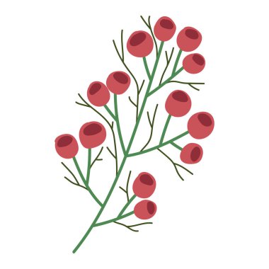 Noel şubesi dut ikonu izole