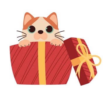 Hediye ikonu izole edilmiş Noel kedisi