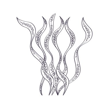 yosun deniz simgesi izole edilmiş tasarım