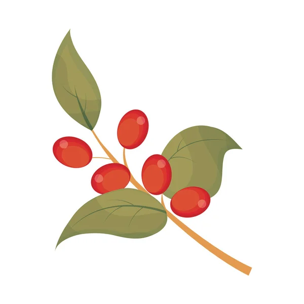 咖啡分枝和种子水彩设计图标 — 图库矢量图片