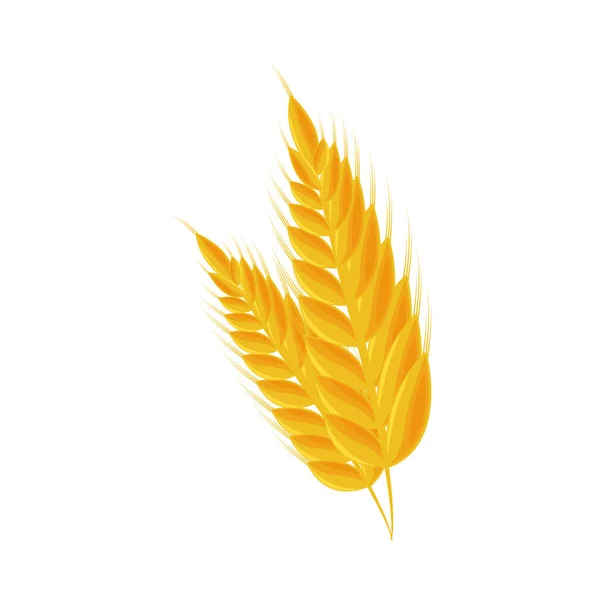 Weizen Dorn Symbol Isoliert Flach — Stockvektor