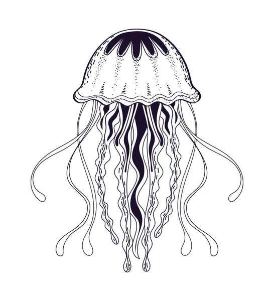Medúzy Moře Ikona Izolované Design — Stockový vektor