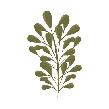 Doğa simgesini izole bırakır