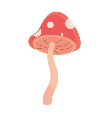 mantar yaban ikonu izole tasarımı