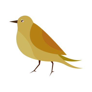 Kuş hayvan simgesi izole edildi